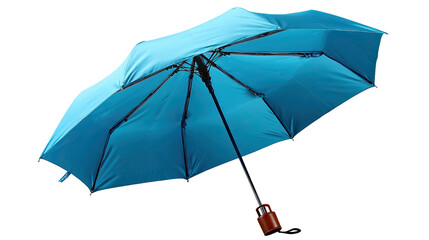 Sky Blue Canopy: A vibrant sky blue umbrella, its canopy spread wide against the unseen elements. The umbrella offers both practicality and a splash of color