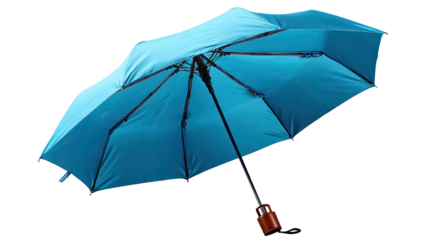 Sky Blue Canopy: A vibrant sky blue umbrella, its canopy spread wide against the unseen elements. The umbrella offers both practicality and a splash of color