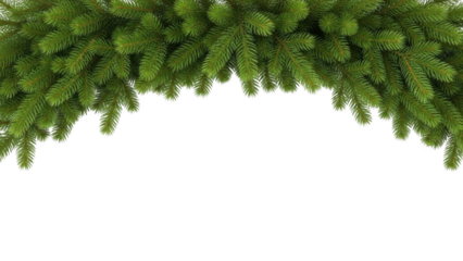Green Fir Tree Branches Border with Black Background for Holiday Design christmas evergreen