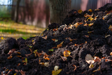 Pile of dark fertile soil with fallen autumn leaves in sunlight
