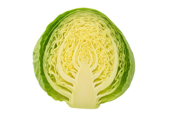 Half cabbage cross-section showing fresh green vegetable texture and natural healthy food ingredient on transparent background