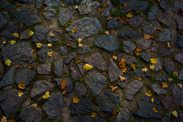 Fallen autumn leaves on dark stone pavement background