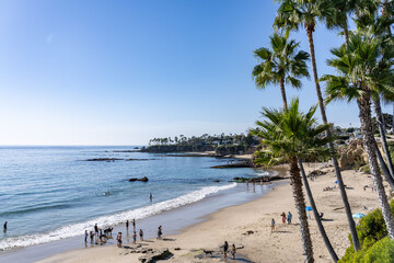 Washingtonia robusta, Mexican fan palm, Mexican washingtonia, or skyduster. Heisler Park, Laguna Beach is a city in Orange County, California, United States. Pacific Ocean. coastal terrace
