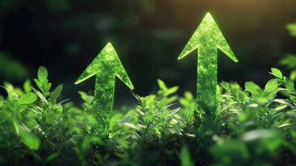 Video Two green arrows rising upwards in the air