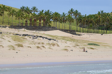 Easter Island, Valparaiso, Chile. May 05, 2014: Moai statues overlooking palm trees at Anakena Beach, Easter Island, Chile.