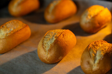 Oven-baked loaves of bread. Delicious warm breads