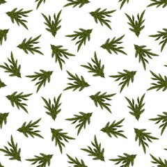Green christmas tree branches, pine twigs repeat pattern on a white background.