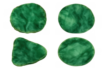 Green lily pads floating on water, top view, aquatic plants creating natural summer background, transparent backdrop