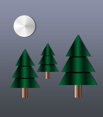 Christmas pine trees on moonlight