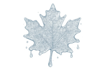 Maple leaf ice melting, depicting frozen canadian symbol turning into water drips during winter thaw on transparent background