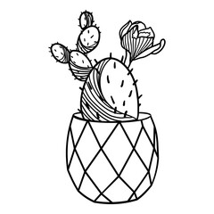 Blossom cactus in ceramic pot in doodle style vector illustration 