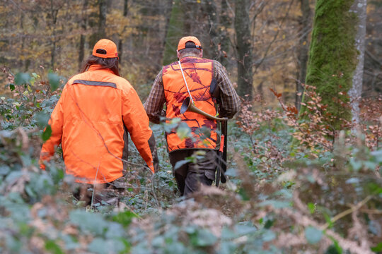 Deux chasseurs traqueurs en tenue fluo marchant en for&ecirc;t pendant une battue