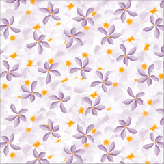 Transparent background spring flowers pattern