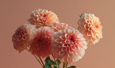 A bouquet of pink flowers