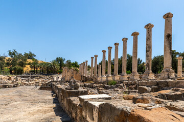 Overview of Sylvanus street at  Beit She'an ancient ruins in Israel.
