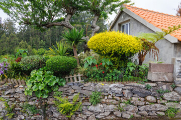 Obraz premium Garden in Camacha mountainous town in municipality of Santa Cruz, Madeira Island, Portugal