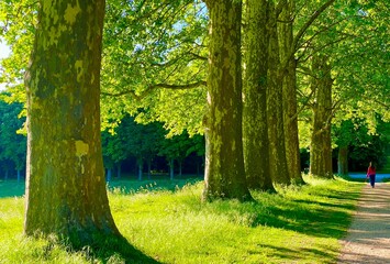 Fototapety na wymiar - Fototapeta24.pl