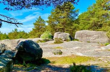 Fototapety na wymiar - Fototapeta24.pl