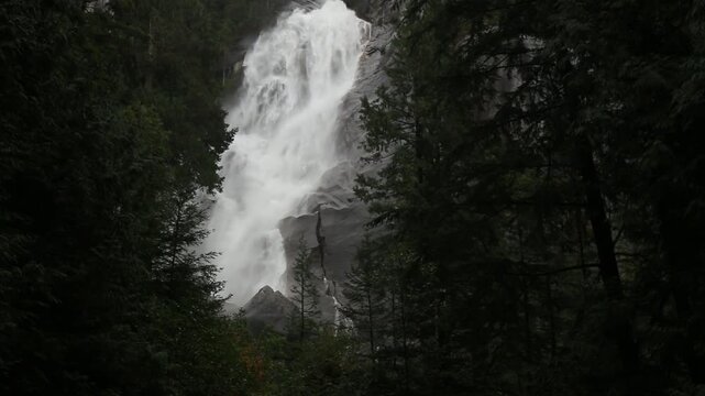 Waterfall in the Forest