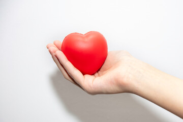 Czerwone serduszko trzymane w dłoniach dziewczyny na białym tle © hunter76