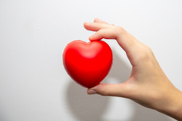 Czerwone serduszko trzymane w dłoniach dziewczyny na białym tle © hunter76