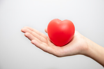 Czerwone serduszko trzymane w dłoniach dziewczyny na białym tle © hunter76