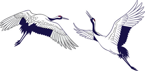 Elegant flying cranes, Japanese style birds, vector wildlife illustration, graceful avian motion, red-crowned crane artwork, minimal nature design, cad drawing flat vector illustration
