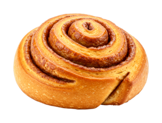 Freshly baked golden brown cinnamon roll with a sweet spiral filling, showcasing its delicious texture and classic round shape in a detailed studio food photography shot