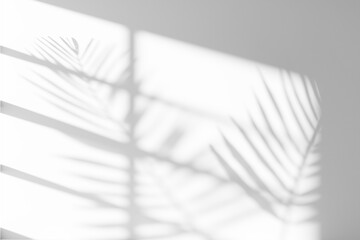 shadow of palm leaves and frame of window on white wall background © Iryna