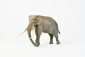  Stegodon animal on isolated background