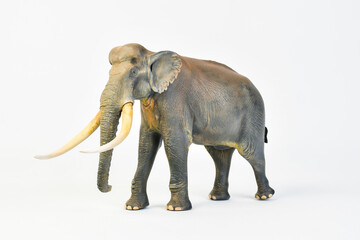  Stegodon animal on isolated background