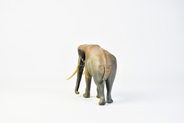  Stegodon animal on isolated background