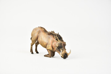 boar animal on isolated background