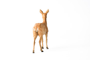 Roe Deer animal on isolated background