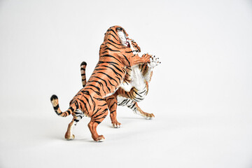 tiger animal on isolated background
