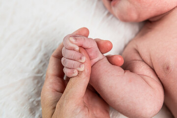Newborn baby hand gripping adult finger, showing connection