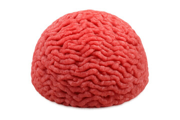 Raw ground beef patty for cooking, preparing fresh minced meat, protein source, transparent background