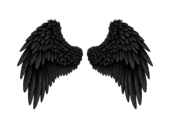 Detailed large black angel wings isolated on transparent background, elegant feathered design, symbolic representation of power and freedom, perfect for fantasy art and digital projects