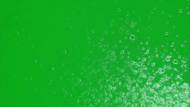 Animated Water Bubbles Floating Up on Green Chroma Key Background.