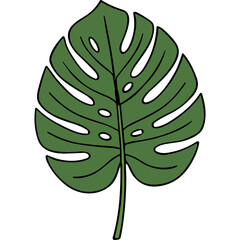Monstera Leaf Tropical Plant Botanical Illustration Simple Green Silhouette Isolated On Black Background Natural Beauty And Growth Concept