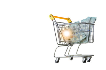 stack of money in the shopping cart and light bulb inside for business concept
