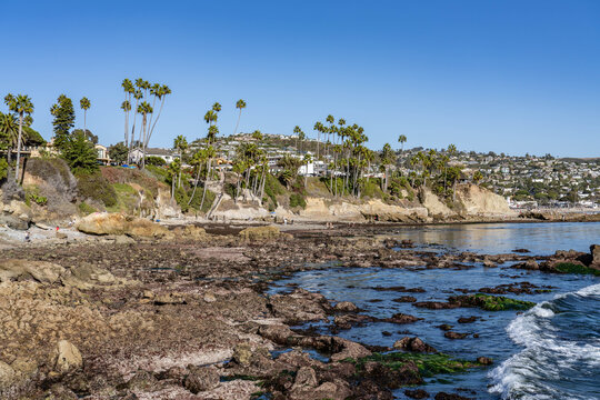 Marine sandstone, siltstone, shale, and conglomerate （Topanga Group）. Heisler Park, Laguna Beach is a city in Orange County, California, United States. Pacific Ocean. coastal terrace