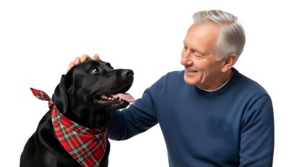 Senior Man Petting Black Labrador Retriever Puppy Affection Friendship Canine Love