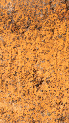macro photo of an orange brick with visible texture. background