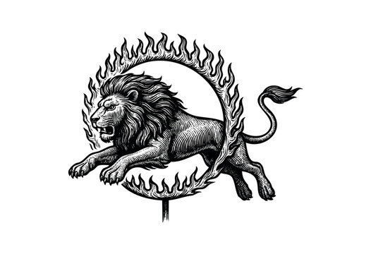 Engraved Style Illustration of a Lion Jumping Through a Ring of Fire &mdash; Stock Vector.