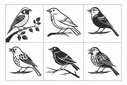 45---birdsong-series-6-icon---nightingale--canary-