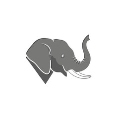 Obraz premium Stylized Gray Elephant Head with Trunk Raised on a Black Background Simple Graphic Illustration Animal Icon
