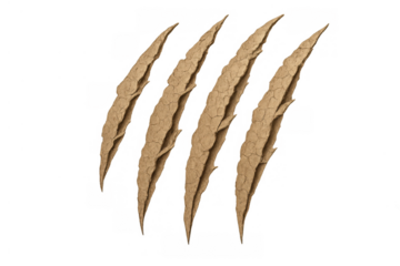 Animal claw scratching tearing paper or wall background, aggressive beast marks, monster attack texture with transparent background