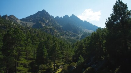 Obraz premium Mountainous Landscape with Forest in Foreground and Rocky Peaks Under Blue Sky