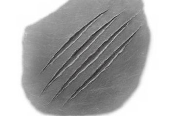 Ripping scratch marks on skin surface creating deep wounds, damage, and pain concept, black and white with transparent background